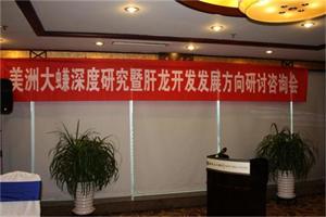 肝龍開(kāi)發(fā)發(fā)展方向研討咨詢(xún)會(huì